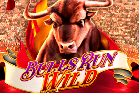 Bulls run wild thumbnail